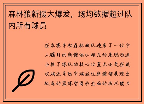 森林狼新援大爆发，场均数据超过队内所有球员